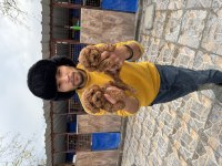 Maltipoo yavrularımız