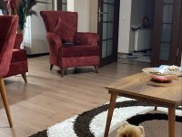 Black Scin Çok tatlı pomeranian yavrumuz verilecektir