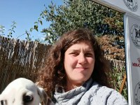 Efsane Yavru Dalmaçyalı Köpekler