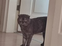 Oğlunun adı ares