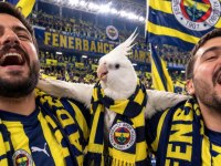 FANATİK FENERBAHÇELİ SULTAN PAPAĞANI