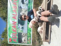 DEV ALABAY YAVRULARIMIZ
