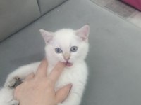 Bal küpü oyuncu kızımız yuvasını arıyor