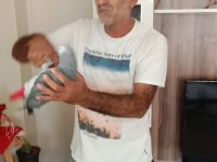 Konuşan full evcil Jako papağanı