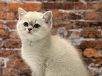 TÜRKİYENİN HER YERİNE SORUNSUZ GÖNDERİM SAĞLIYORUZ
