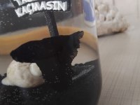 Siyah betta balığı asil duran