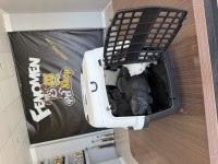 Top kafa Scottish yavrular Brıtısh yavrular Ankara 