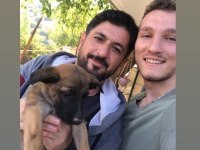 6 Yıllık emeğin sonucu malinois yavrular (yasal çiftlikten)