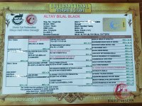 3 AYLIK ERKEK BENGAL KEDİLER FULL ŞECERE