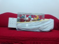 2 yumurtalı dişi 1 erkek 3 aylık 2 yavru muhabbet kuşu
