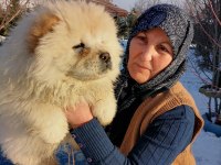 ÇİN ASLANINA AŞIK OLACAKSINIZ