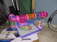 Hamster kafesi