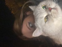 KAYİP KEDİ MANİSA YUNUSEMRE