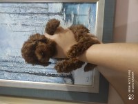 ANKARANIN EN KÜÇÜK POODLE KORELERİ