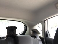 Siyah pug eve arabaya pislemez