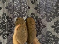 MÜKEMMEL KALİTE CHOW CHOW YAVRULAR