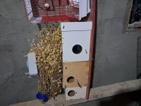 KAFES CIFTLI TEKLI YUMURTALIK