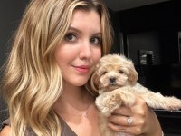 Muhteşem maltipoo bebekler ile karşınızdayız