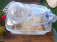 HAMSTER VE YUVASI
