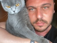 Zamanı Gelen British Shorthair Bebeklerimiz