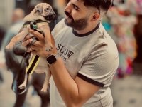 SAHİBİNDEN YAVRU PUG