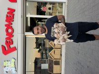 Türkiye’nin en güzel Maltipoo yavruları Ankara mağaza