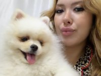 Pomeranian Boo Köpeğimiz