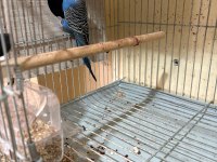 5 yavrulu kusursuz muhabbet takım
