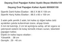 9 AYLIK İSKENDER PAPAĞANI