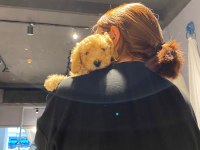 Çiş eğitimli toy poodle