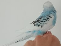 YEME DÜŞMÜŞ YAVRU MUHABBET