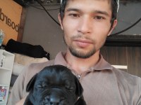 Cone corso yavrularımız çiftliğimizden