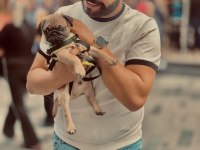 SAHİBİNDEN YAVRU PUG