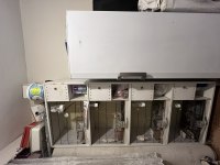 4 lü pvc ve 3 takım muhabbet kuşu uyguna verilecek