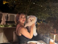 Pomeranian boo köpeğimiz