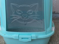 KEDİMİZE YENİ YUVA ARIYORUZ (SAHİPLENDİRME)