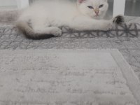 Bal küpü oyuncu kızımız yuvasını arıyor