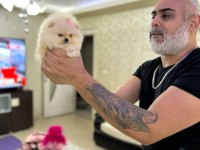 MİKRO BOY POMERANİAN PRENSES