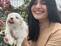 Kar Tanesi Maltese Terrier