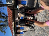 Cane corso yavrularım