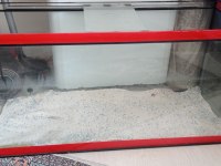 1 metre akvaryum set
