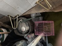 Takaslı ister parayla ister kuş takaslı