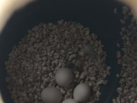 Yumurtalı 2 Yaşında Çift muhabbet