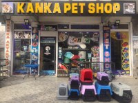 Karışık ciklet balıkları 
