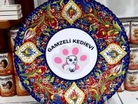 British Yavrularımız Sizleri Bekliyor