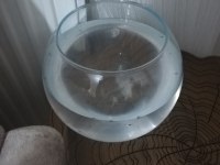 Akvaryum ile birlikte balıklar ve ekipmanlar