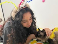 KEDİM KAYIP OLDU...