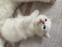 Minik bebeğimiz