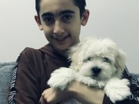 Maltese köpüş