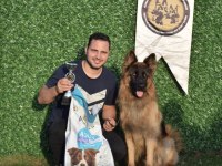 Uzun Tüylü Şampiyon Alman Çoban Köpeği